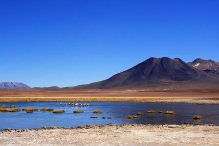 Lagune des Altiplano